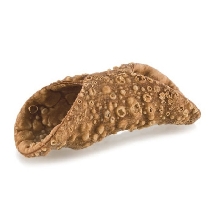 Cannoli siciliani mici ,6cm - 270buc