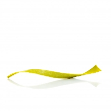 Decor ciocolata Wave Green Large  48buc